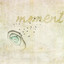 Moment cover