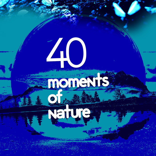 40 Moments of Nature
