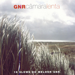 Câmara Lenta: 16 Slows Do Melhor GNR album
