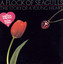 The Story Of A Young Heart cover