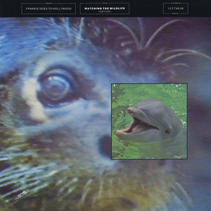 Watching the Wildlife album