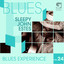 Blues Experience, Vol. 24 Albumcover