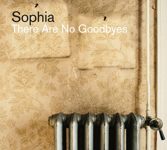 There Are No Goodbyes cover