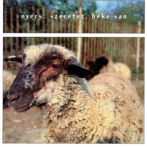 Szeretet, béke van cover