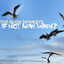 If Not Now, When? cover