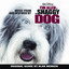 The Shaggy Dog cover