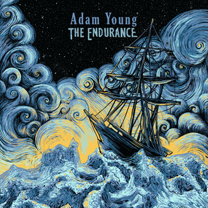 The Endurance cover