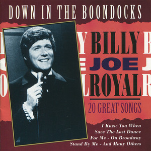 Down in the Boondocks: 20 Great Songs album