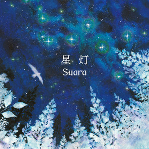 星灯 cover