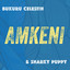 Amkeni cover