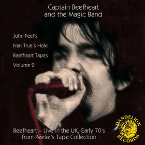 Nan True's Hole Tapes, Volume 2 cover