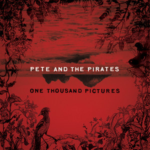 One Thousand Pictures cover