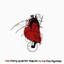 Shape and Colour of My Heart: The String Quartet Tribute to Foo Fighters cover