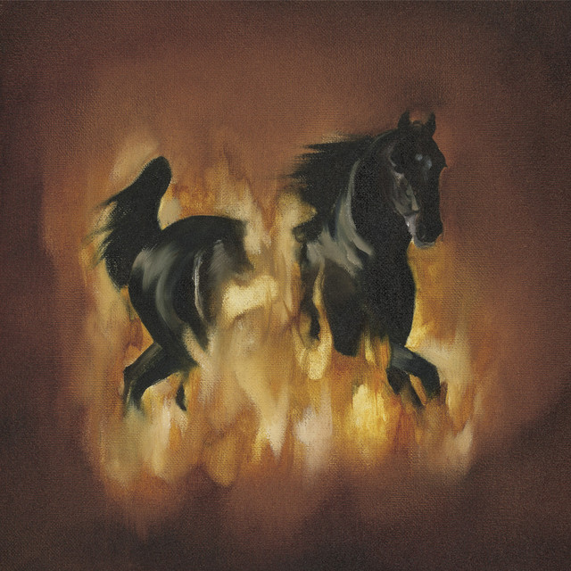 The Besnard Lakes Are The Dark Horse cover