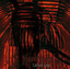 Carnal Cage Albumcover