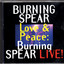 Love & Peace cover