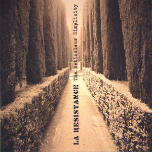The Meticulous Simplicity Albumcover