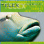 Telex - The Voice