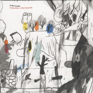 Losing Stones, Collecting Bones cover