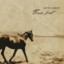 True Grit Albumcover