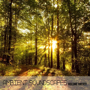 Ambient SoundScapes, Vol. 20 cover