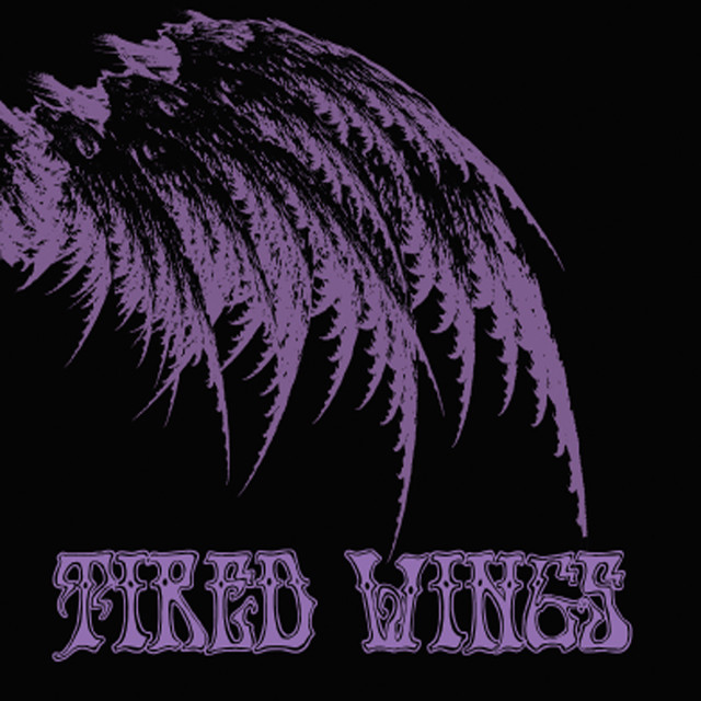 Tired Wings Photo