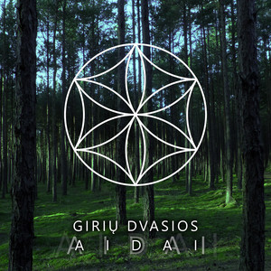 Aidai cover