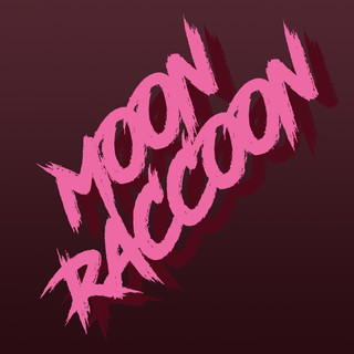 Moonraccoon Photo