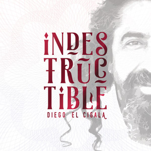Indestructible: Track by Track album