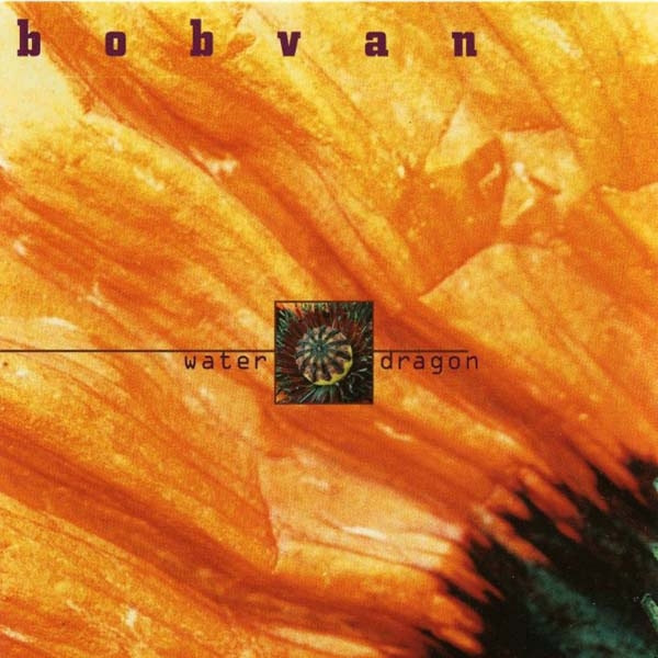 Bobvan Photo