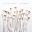 Equilibrium cover