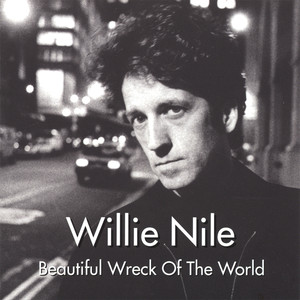 Beautiful Wreck of the World cover