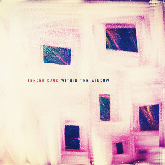 Resultado de imagen para within the window spotify tender cage