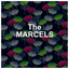 The Marcels cover