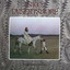 Desertshore cover