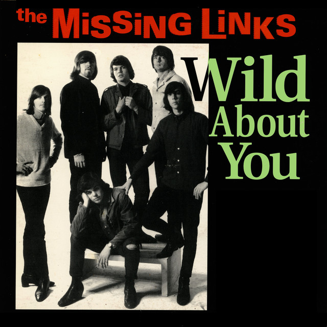 The Missing Links Photo