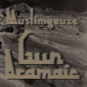 Gun Aramaic cover