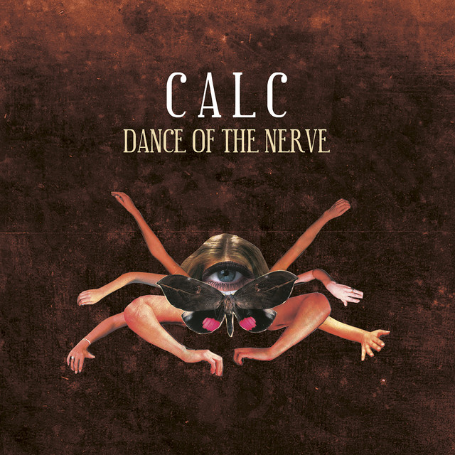 Danse Of The Nerve cover