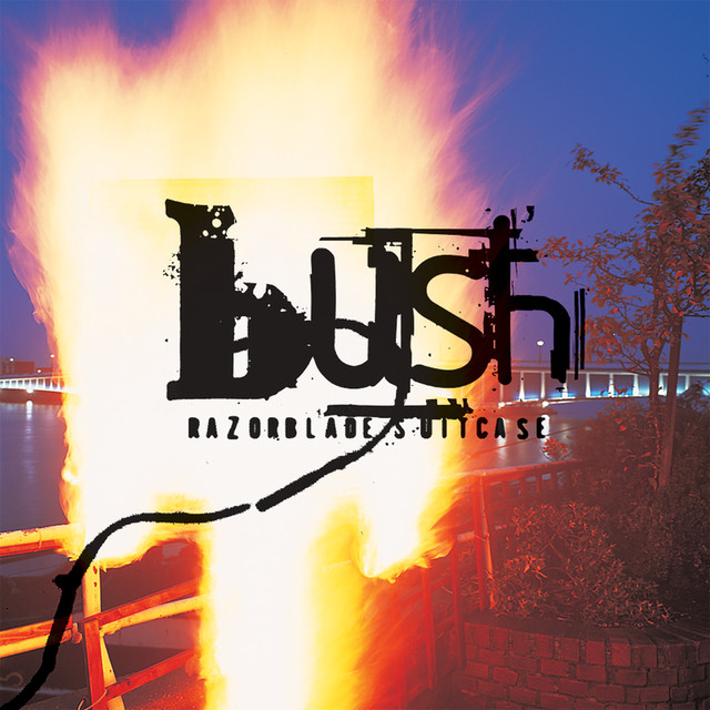 Razorblade Suitcase cover