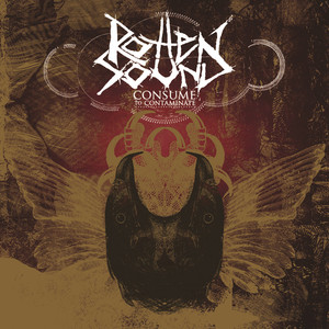 Consume to Contaminate cover