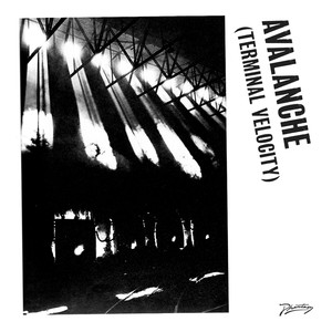 Avalanche (Terminal Velocity) album