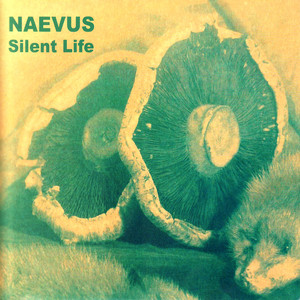 Silent Life cover