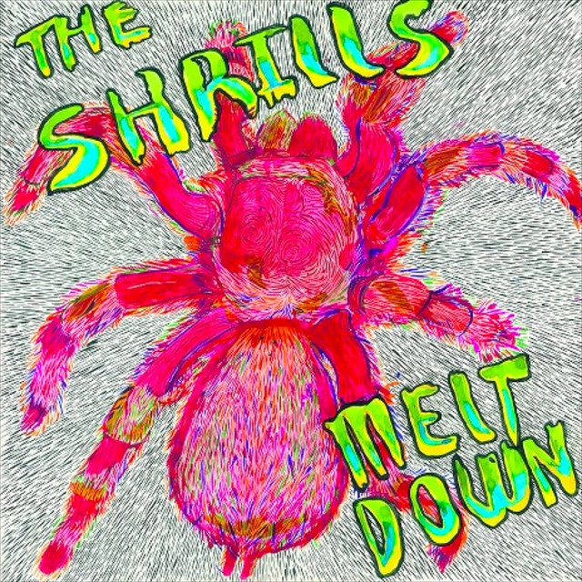 The Shrills Photo