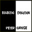 Eclectic Evolution Albumcover