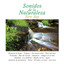 New Age: Sonidos de la Naturaleza Albumcover