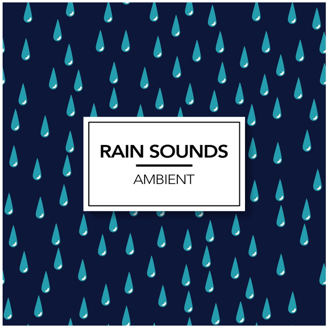 Rain Sounds & Ambience
