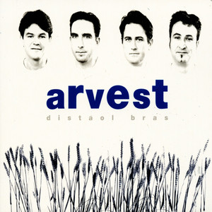 Distaol bras cover