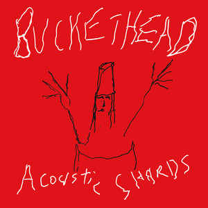 Acoustic Shards album