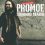 Standard Bearer cover