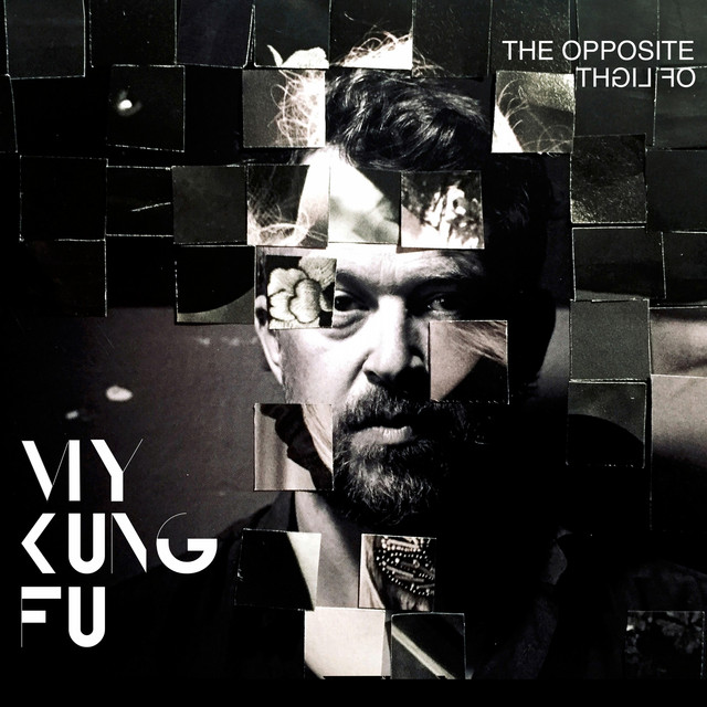 Musik Album 'The Opposite of Light'